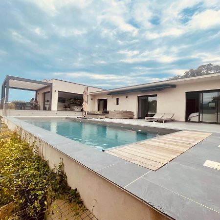 Architect's Villa - 10-12 people - Pool - 4 bedrooms Zonza Bagian luar foto